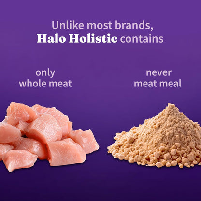 Halo Holistic Cage Free Chicken Cat Food, Healthy Grains Dry Cat Food, Complete Digestive Health, Kibble for Adult Cats, 3 lb Bag