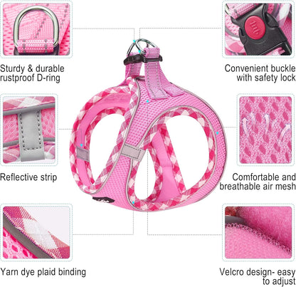 haapaw Dog Harness with Leash Set, No Pull Adjustable Reflective Step-in Puppy Harness with Thickened Padded Vest for Extra-Small/Small Medium Dogs