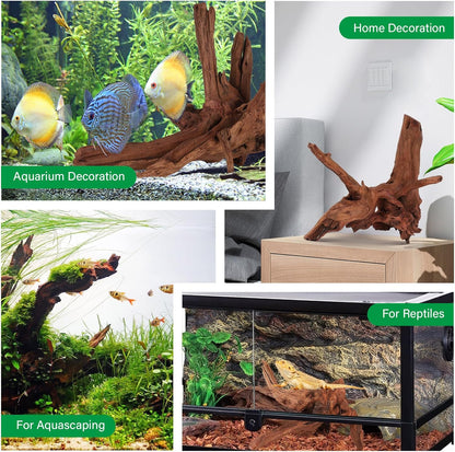 Driftwood for Aquarium Natural Aquarium Wood for Aquascaping Fish Tank Decorations Reptile Tank Decor (Natural Driftwood 6-10" (Pack of 3))