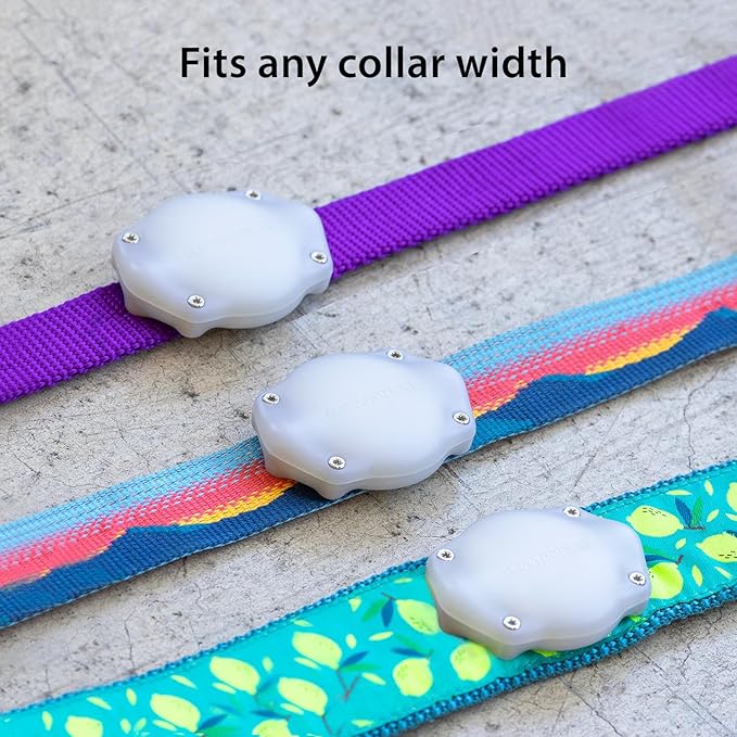 Elevation Lab AirTag Dog Collar Holder - TagVault - IP68 Waterproof, Doesn't Dangle, Fits All Width Collars Glow in The Dark (2 Pack)