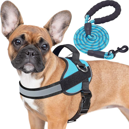 Haapaw Essential Dog Harness, No Pull Pet Vest with 3 Leash Clips, No Choke, Reflective, Adjustable and Padded, for Easy Walking and Training for Small Dogs(S, Blue)