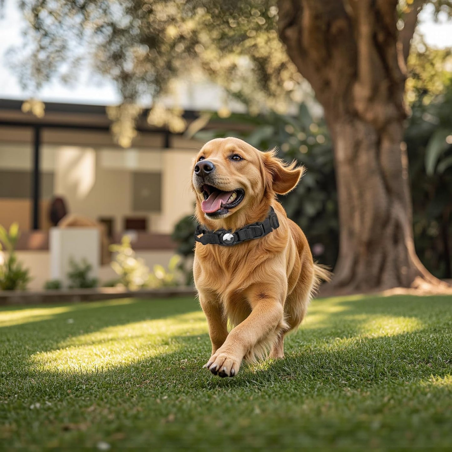 Tactical AirTag Dog Collar Leash Set - Heavy Duty, Adjustable GPS Collar Compatible with Apple AirTag, with Holder & Control Handle for Medium/Large Dogs [Black, XL]