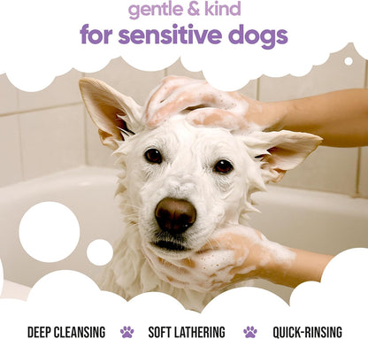 White Dog Shampoo by Buddycare (33.8oz) | Brightening and Whitening Shampoo for Dogs | Deep Cleansing, Fresh Scented | with Aloe Vera and Pro Vitamin B5