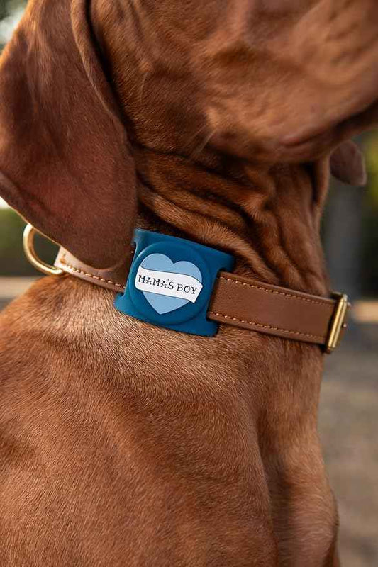 Two Tails Mama's Boy Dog Collar Holder Compatible with Apple AirTag, Durable Silicone Slide-On Case for Pets, Secure Tracker Cover, Easy to Clean