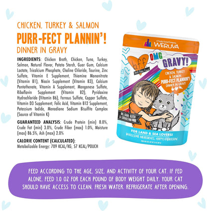 Weruva B.F.F. OMG - Best Feline Friend Oh My Gravy!, Purr-FECT Plannin'! with Chicken, Turkey & Salmon in Gravy Cat Food, 2.8oz Pouch (Pack of 12)
