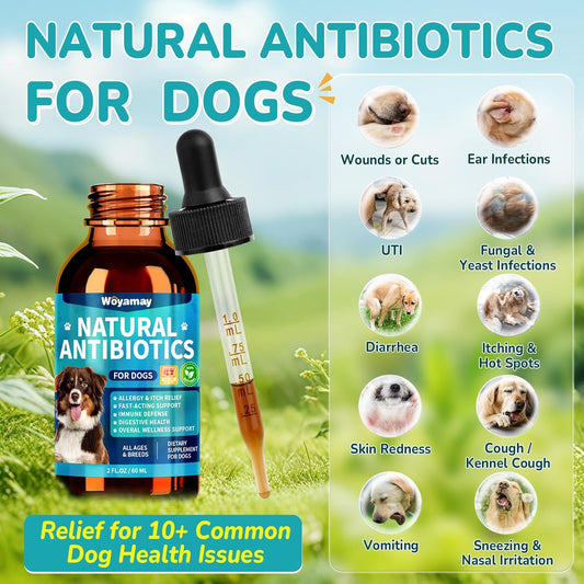 Antibiotics for Dogs | Natural Dog Antibiotics for Allergy Relief, Itch Relief, Coughs, Skin Health, Breath Treatment, Digestion | Herbal Supplement to Care for Ears, Eyes & Coat, 2 Fl Oz