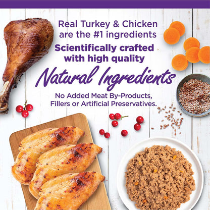 Wellness Complete Health Chicken & Turkey Pate Favorites Variety Pack, 5.5 Ounces Can (Pack of 12)