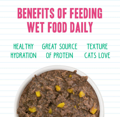 Weruva BFF Minced Natural Wet Cat Food, Tuna and Pumpkin Valentine in Gravy, 10oz Can, Pack of 12