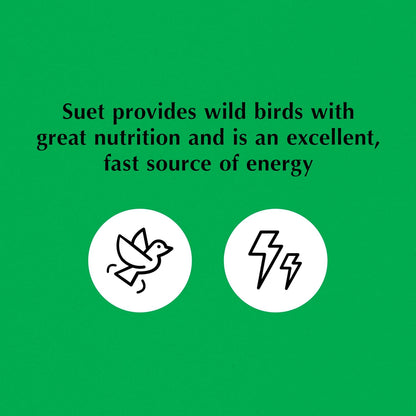 C&S Oriole Delight No Melt Suet Dough 11.75 Ounces 8 Pack