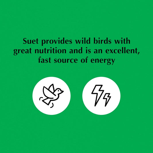 C&S Oriole Delight No Melt Suet Dough 11.75 Ounces 8 Pack