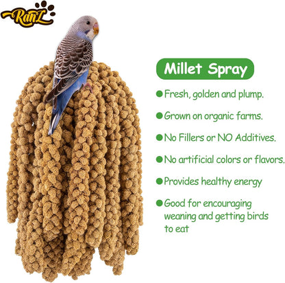 RANZ 5LBS Millet Spray for Birds, GMO-Free, Sun Dried Spray Millet, Original Bird Treats & Supplement for Parrots, Cockatiels, Lovebirds, Painted Buntings and Finches, Parakeets Food