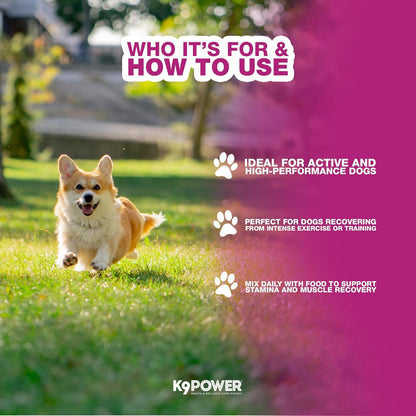K9 Power Super Fuel for Dogs 1lb - Boosts Energy Levels - Supports Muscle Growth & Enhances Joint Health - Pack of 2