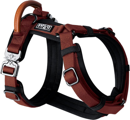 MADE TO ROAM Premium Explorer Harness - Y-Shaped Dog Harness with Adjustable Durable Nylon, Soft Padding, Metal Buckles and Leather Handle for Small, Medium, Large Dogs (Arizona Heartbeat, Size 5)