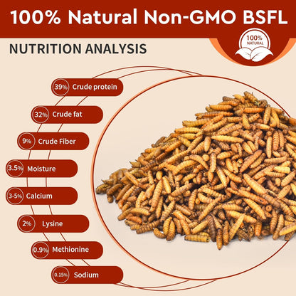 Dried Black Soldier Fly Larvae 5LB, High Protein Chicken Feed, 100% Natural Non-GMO – Treat for Chicken More Calcium Than Mealworms, Food for Laying Hen, Ducks, Wild Birds