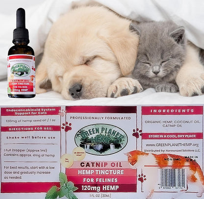 Pet Hemp Oil | Dogs and Cats | Catnip Oil | Green Planet Hemp | 120MG Organic Tincture | 100% Natural | Hip, Joint, and Muscle Support for Your Pet | Aids with Anxiety,Stress, and Pain