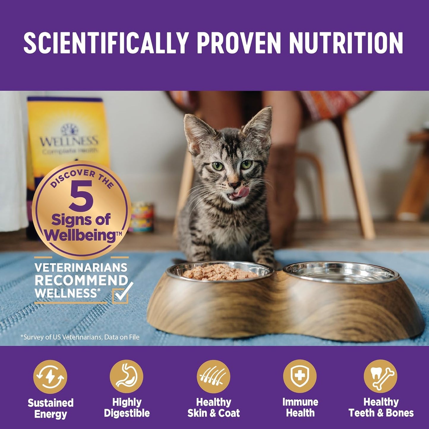 Wellness Complete Health Gravy Adult Wet Cat Food, Natural, Protein-Rich, Grain Free, 3 Ounce, 12 Pack, (Turkey Dinner)