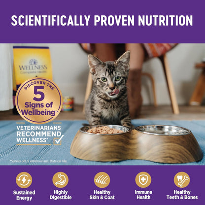 Wellness Complete Health Sliced Adult Wet Cat Food, Natural, Protein-Rich, Grain Free, 3 Ounce, 24 Pack, (Salmon Entrée)