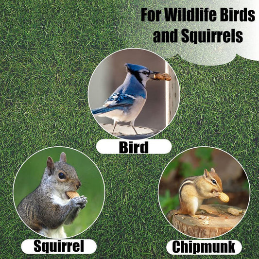 Old Potters Wildlife in-Shell Peanuts for Birds, Squirrels and Wildlife. USA Grown Non-GMO Raw in-Shell Peanuts (in-Shell, 8 lbs)