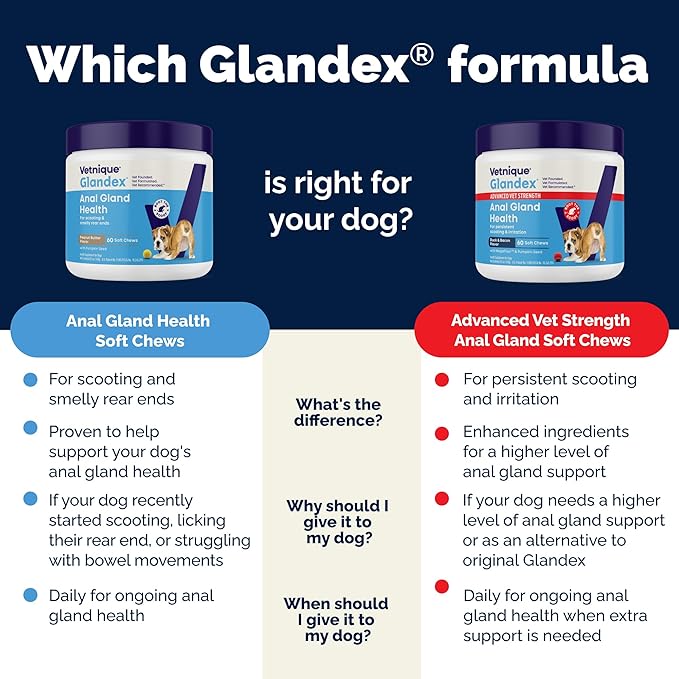 Vetnique Glandex Anal Gland Soft Chew Treats with Pumpkin for Dogs Digestive Enzymes, Probiotics Fiber Supplement for Dogs Boot The Scoot (Bacon Flavor Chews, 30 Count) (Pack of 2)