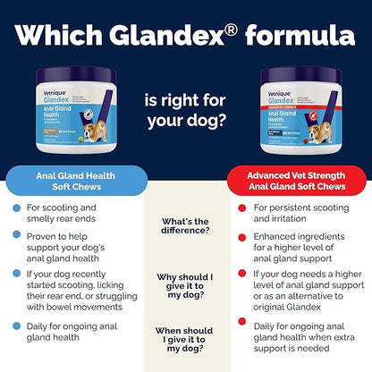 Vetnique Glandex Anal Gland Soft Chew Treats with Pumpkin for Dogs Digestive Enzymes, Probiotics Fiber Supplement for Dogs Boot The Scoot (Bacon Flavor Chews, 120 Count) (Pack of 2)