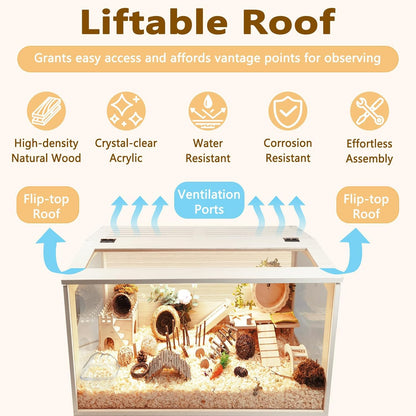 Prolee Hamster Cage Wooden Chew Proof, Extra Large Mice and Rat Habitat Openable Top with Acrylic Sheets Solid Built Small Animal Cage with Leg Stands, 24 Inch Long