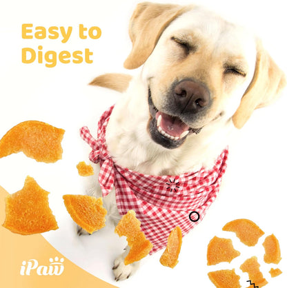 iPaw Chicken Chips Dog Treats for Puppy Training, All Natural Human Grade Dog Treat, Hypoallergenic, Easy to Digest (Chicken Chips)