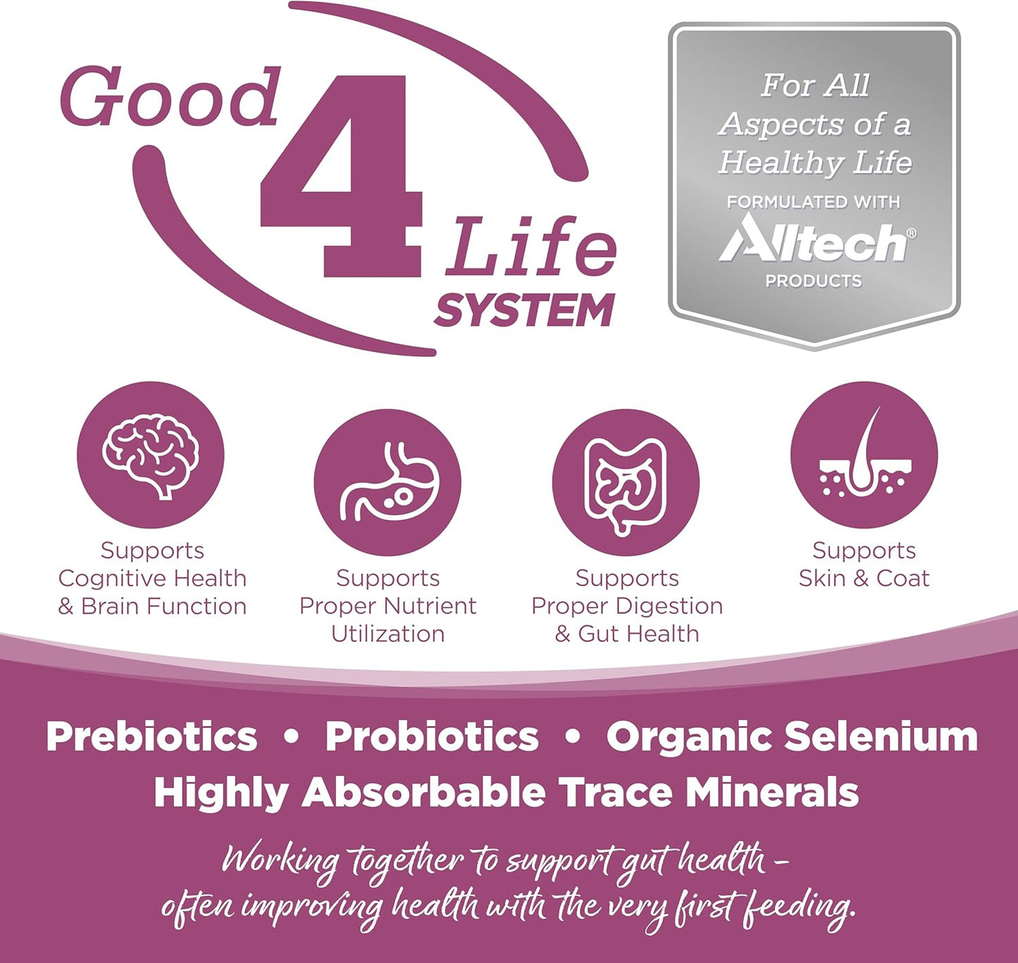 NutriSource Element Series Wild Range Dry Dog Food, Chicken, Pork & Bison, 4LB