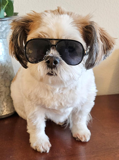 G029 Small Dog Breed up to 15lbs Cat Pet Aviator Sunglasses Glasses (Black)