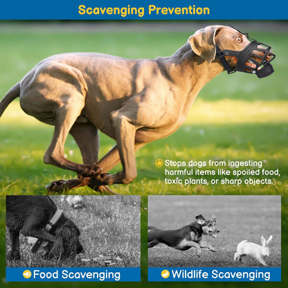 BARKLESS Basket Muzzle for Medium Dogs, Humane Muzzle to Prevent Biting and Scavenging, Snap-on Treat Cover Helps Dogs Acclimatize Mouth Cover, Adjustable Mouth Guard for Positive Training, Grooming