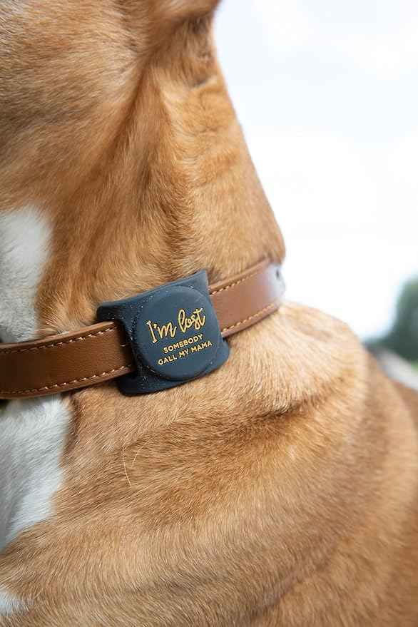 Two Tails I'm Lost Dog Collar Holder Compatible with Apple AirTag, Durable Silicone Slide-On Case for Pets, Secure Tracker Cover, Easy to Clean