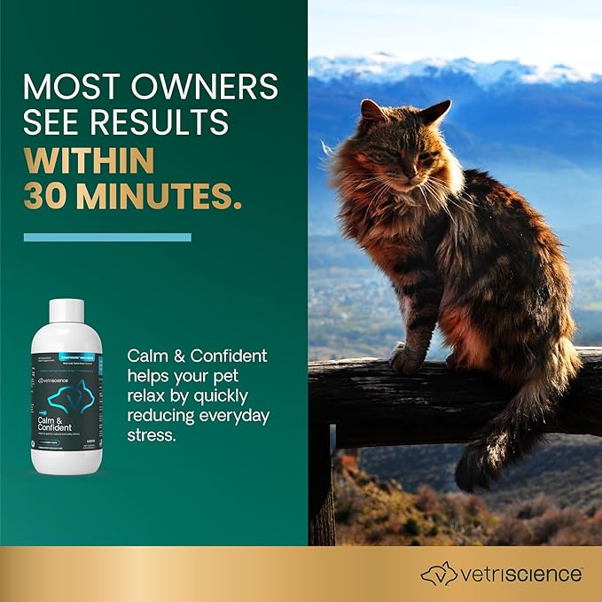 VetriScience Calm & Confident Liquid, Composure Calming and Anxiety Supplement for Dogs and Cats, Reduce Stress and Fear, Ideal for Thunderstorms, Fireworks, Vet & Routine Changes, Unflavored, 8 oz