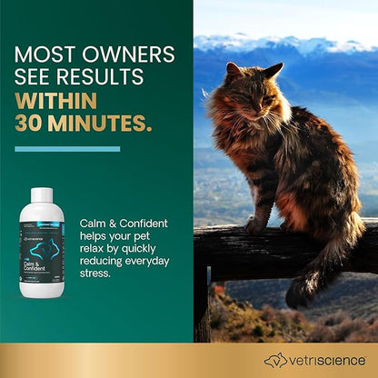 VetriScience Calm & Confident Liquid, Composure Calming and Anxiety Supplement for Dogs and Cats, Reduce Stress and Fear, Ideal for Thunderstorms, Fireworks, Vet & Routine Changes, Unflavored, 8 oz