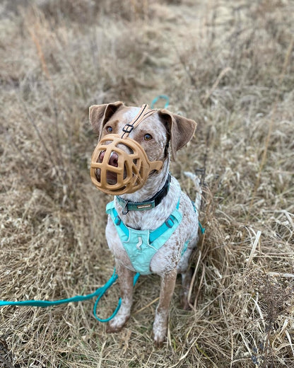 Mayerzon Dog Muzzle, Breathable Basket Muzzles for Small, Medium, Large and X-Large Aggressive Dogs Beagle German Shepherd Doberman, Cage Mouth Guard Stop Biting Chewing for Grooming Training