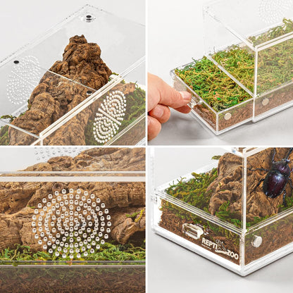 REPTI ZOO Magnetic Acrylic Reptile Terrarium 8" x 4" x 4", Transparent Tarantula Spider Enclosure Micro Breeding Box for Hermit Crab Snail Mantis Frog Insects