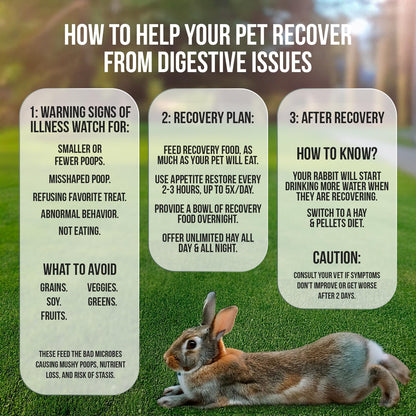 Sherwood Pet Health Rabbit Emergency kit and Bulk Recovery Food (Large kit)