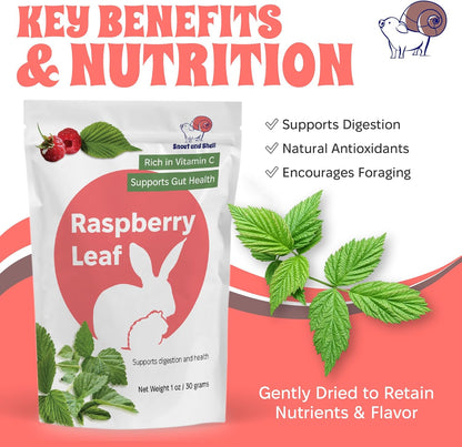 Snout and Shell Raspberry Leaf for Small Pets – 100% Natural Treat for Rabbits, Guinea Pigs, Hamsters & More – Rich in Vitamin C & Supports Gut Health – 1 oz (30g)