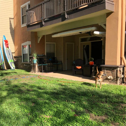 Dog/Puppy Obedience Recall Training Agility Lead - 15ft 20ft 30ft 40ft 50ft Training Leash - Great for Play, Camping, or Backyard - Rainbow 50ft (Rainbow, 50 Feet)