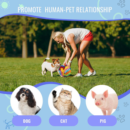 Pet Snuffle Ball, Puzzle Sniffing Interactive Dog Ball for Blind Dogs Training Stress Relief Dog Enrichment Toys Treat Machine Washable (Rainbow Color Upgrade, 10cm)