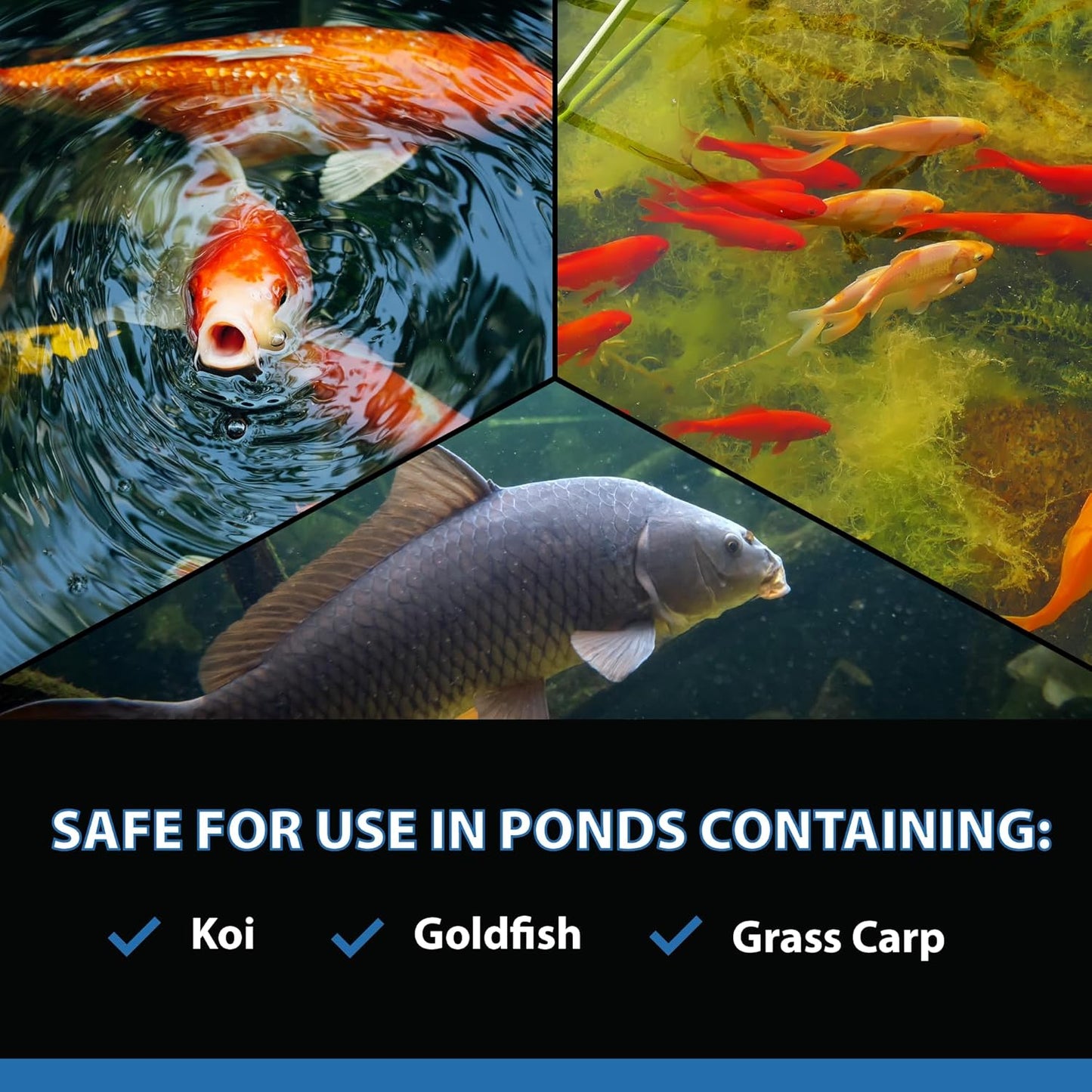 CrystalClear AlgaeOff Pond & Water Garden Scum Cleaner, Waterfall & Rock Slime Remover, String Algae Killer, Green Stain Treatment, EPA Registered Algaecide, Plant, Koi Fish, Bird & Pet Safe, 2.5 lb