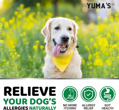 Dog Allergy Relief Chews - Dog Itching Skin Relief Treatment Pills - 170 Treats - Anti-Itch Chewables - Itchy and Paw Licking - Hot Spots - Omega 3 Fish Oil - Dry Skin & Coat Supplement