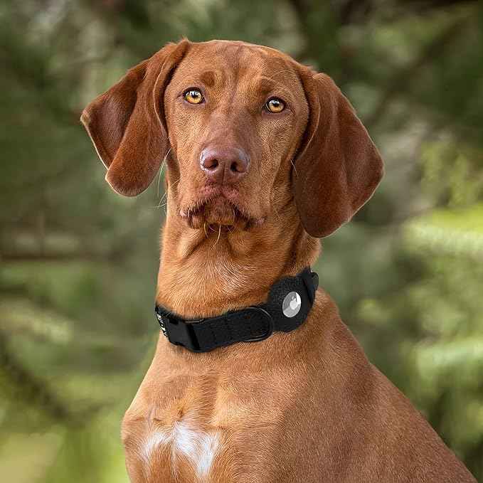 AirTag Dog Collar with Metal Buckle - Printed Nylon Soft Leather Dog Collar with Apple AirTag Holder - Secure Tracking GPS Pet Collars for Girl Boy Small Large Dogs (M, 14"-18" Neck Fit, Space)