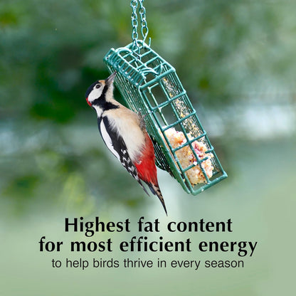 C&S Peanut Butter Delight No Melt Suet Dough, Suet Cakes for Wild Birds, 11.75 Ounces, Pack of 8