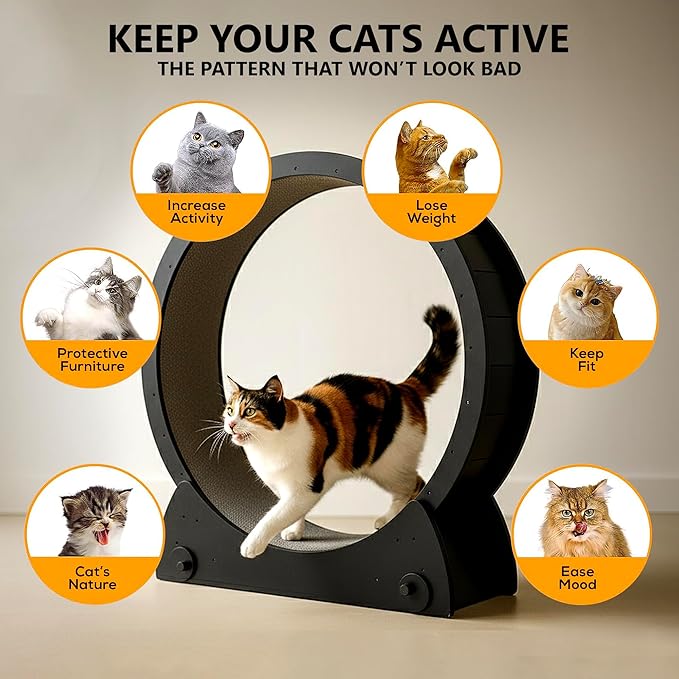 Portable Cat Running Wheel for Indoor Cats 44" Large XL 12" Wide, Cat Treadmill, Wheel with Carpeted Runway for Kitty’s Longer Life, Moveable Safe & Stable Design.