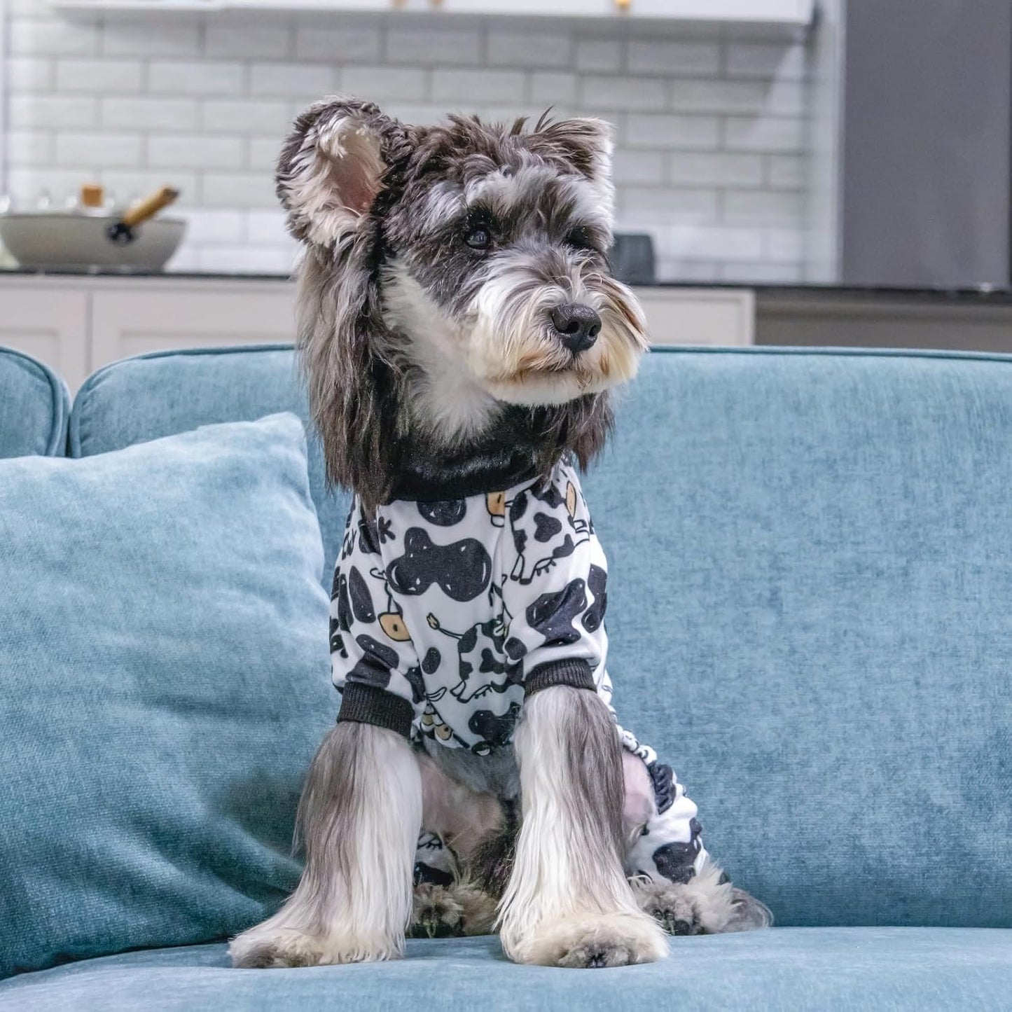 CuteBone Dog Halloween Pajamas Puppy Onesies Small Dogs Soft Pjs Coat Cat Apparel Comfy Pet Christmas Clothes Outfit Doggie Bodysuit P281L