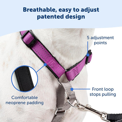 PetSafe 3 in 1 Dog Harness - No Pull Solution for Dogs - Reflective Dog Harness - Front D-Ring Clip Helps Stop Pulling - Comfortable Padded Straps - Top Handle Enhances Control - Teal - Large