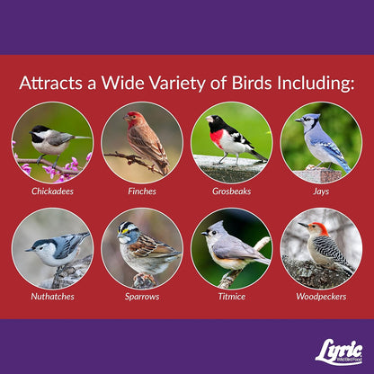 Lyric Delite Wild Bird Seed for Outside Feeders - No Waste Bird Food, Nuts & Seeds Mix, Attracts Buntings, Chickadees & Finches, 10 lb (Pack of 2-5 lb Bags)
