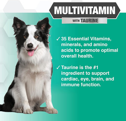 Nootie PROGILITY Daily Multivitamin Chews for Dogs - Supports Immunity, Heart, Eye, Brain, and Bone Health with Taurine- for All Dog Sizes - 90 Soft Chews. - Sold in Over 5,000 Pet Stores