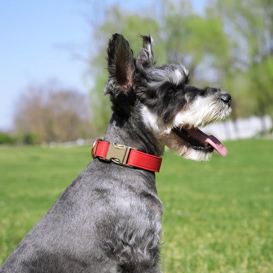 PET ARTIST Soft PU Leather Dog Collar, Bright & Classic Red Dog Collar with Quick Release Rose Metal Buckle, Adjustable Nylon Padded Durable Pet Collars for Small Dogs Girl, Neck Fit 9-14"