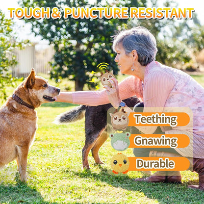 DKING 3Pack Squeaky Dog Balls,2 in1 Funny Puppy Ball Toys,Birthday Dog Toy for Small Medium Dogs (Farm Ball)