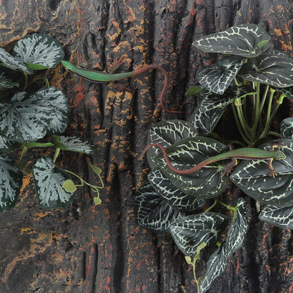 IBWell Fake Reptile Plants for Reptile Terrarium Plants, Reptile Plant Décor, Turtle Tank Plants with Suction Cup